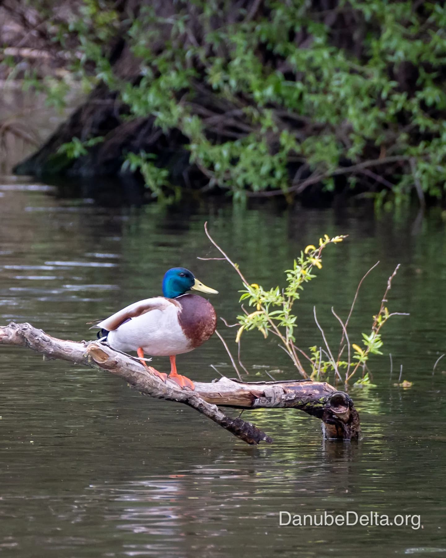 De departe în topul preferintelor iubitorilor de natura, excursia de 6-7 ore