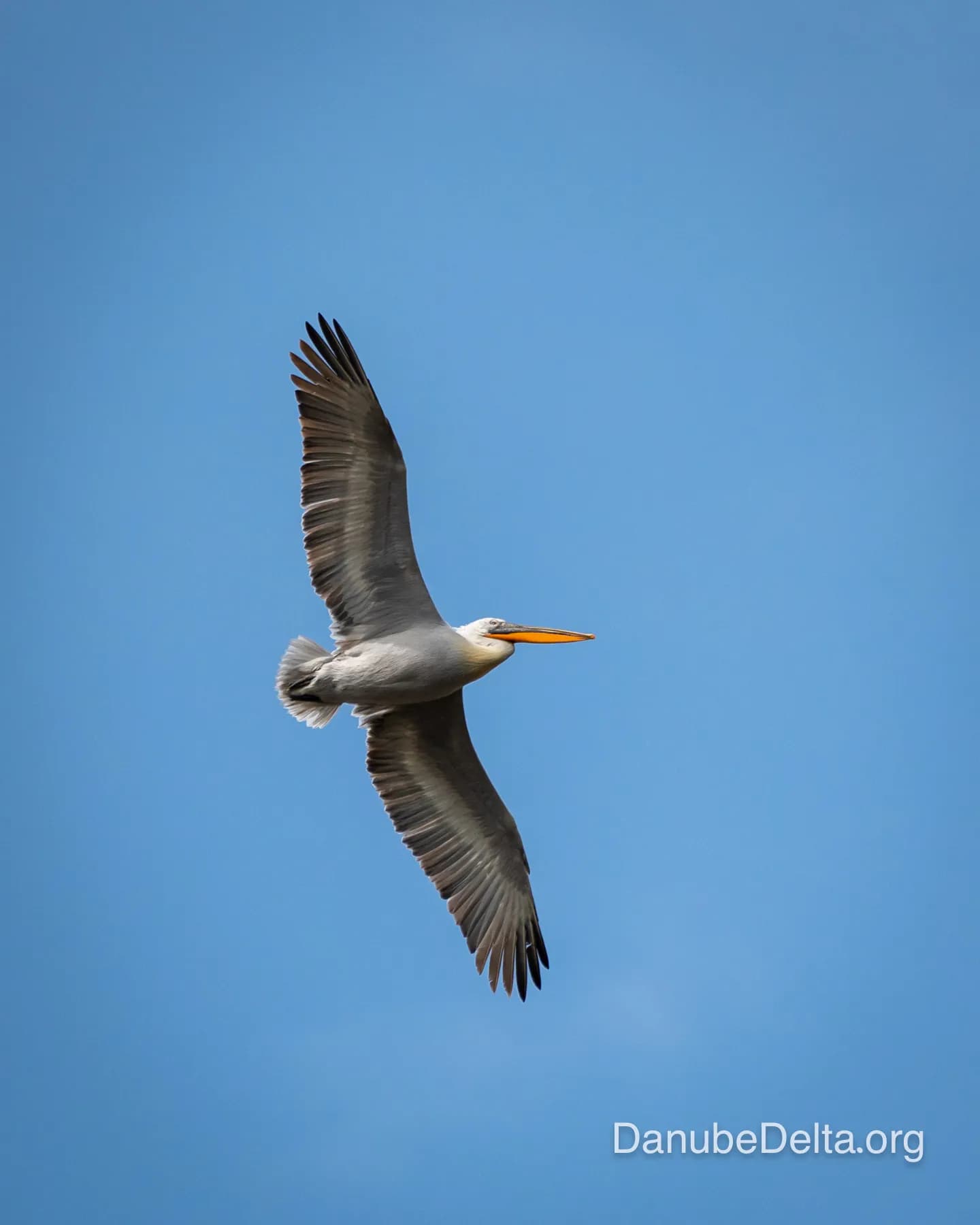 De departe în topul preferintelor iubitorilor de natura, excursia de 6-7 ore