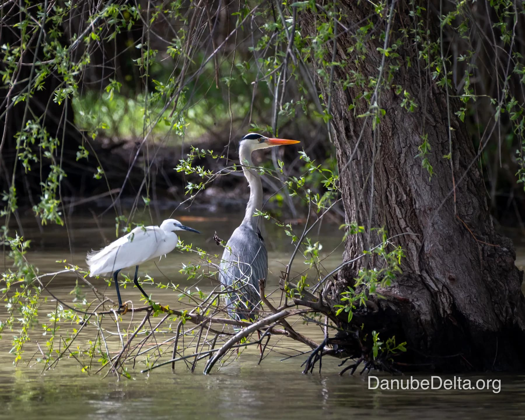 De departe în topul preferintelor iubitorilor de natura, excursia de 6-7 ore