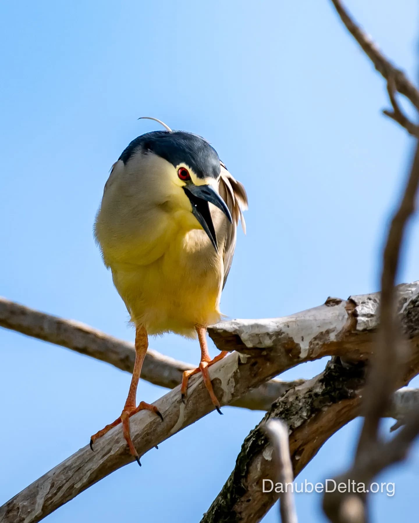 Excursia de 3 zile în Delta Dunării – Ambarcațiuni lente (Catamaran)