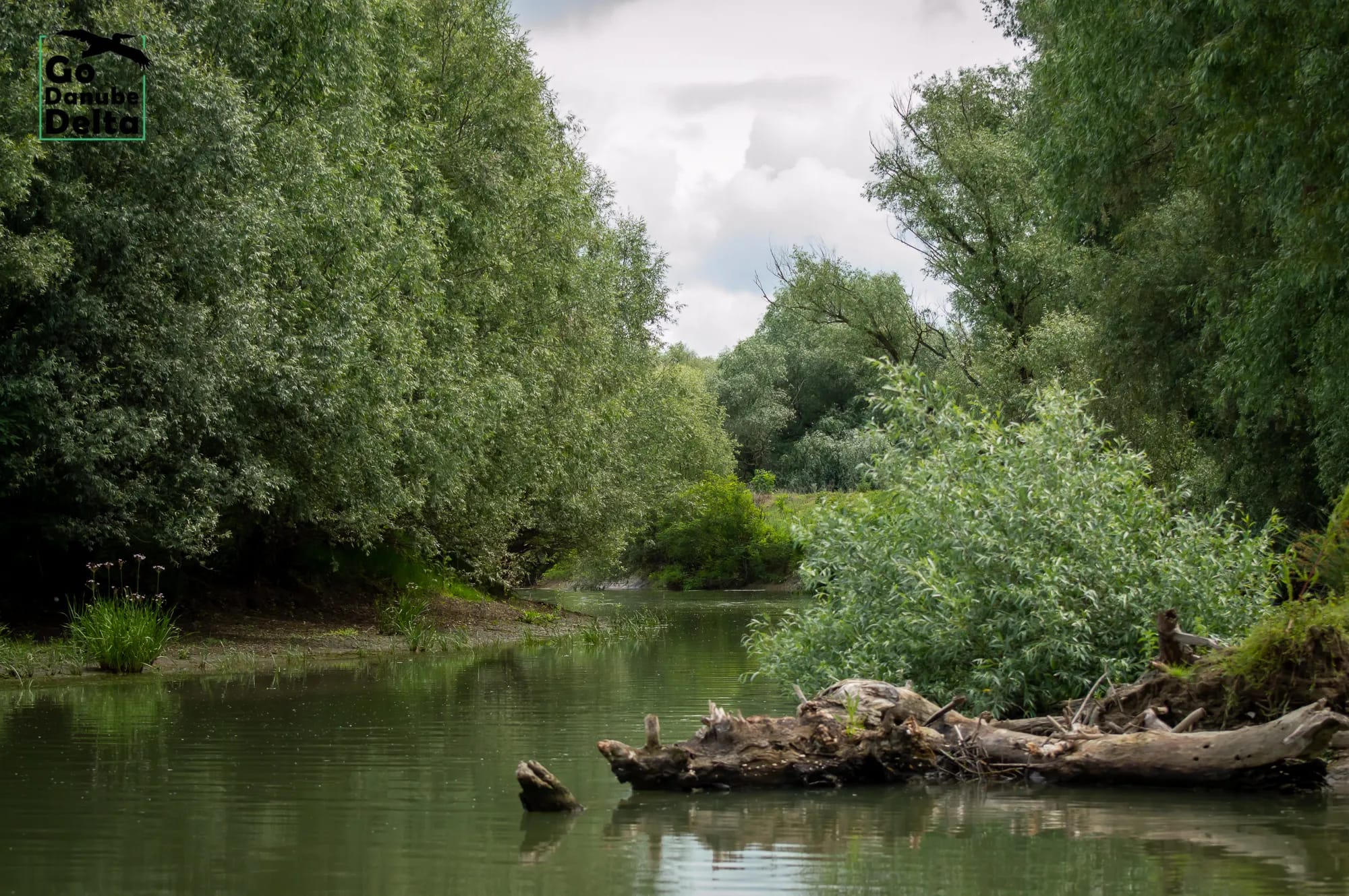 Excursie relaxanta în zona salbei de lacuri din Sireasa de Nord – 3-4 ore