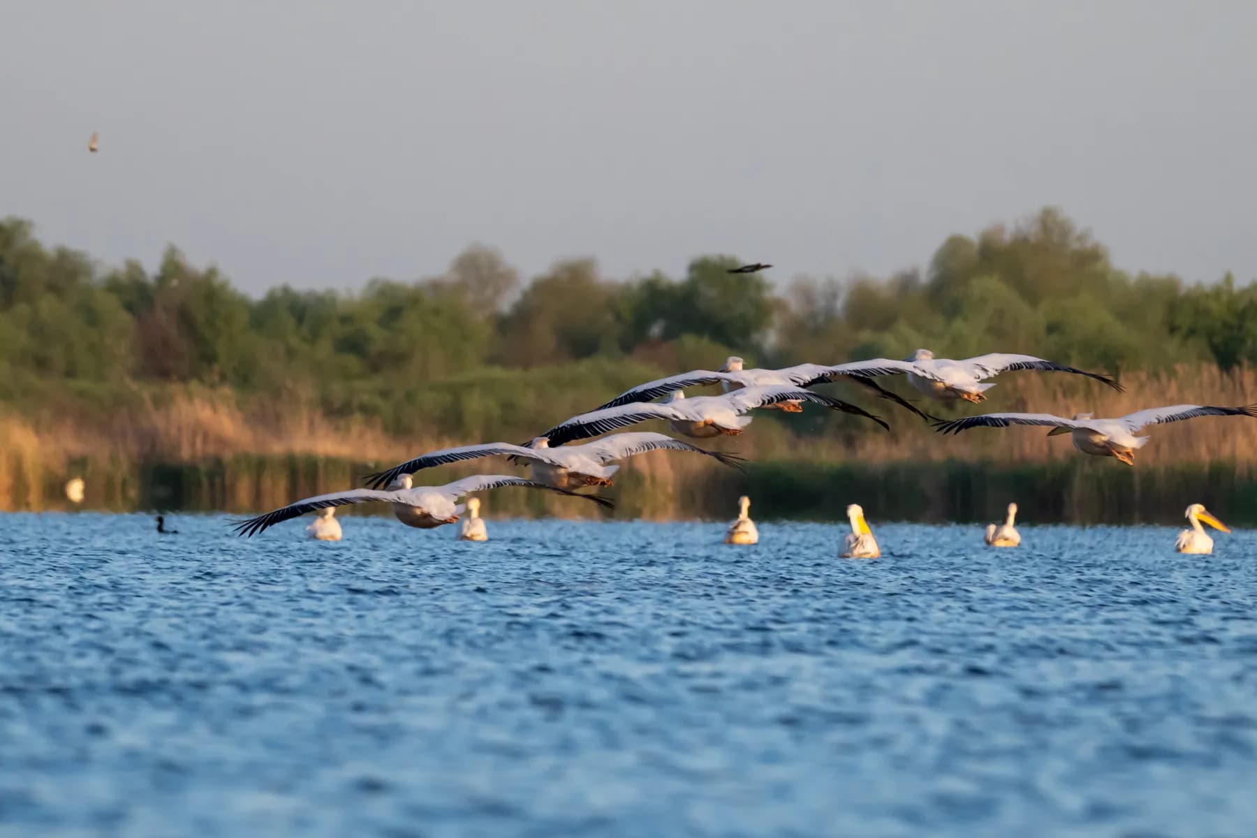 lacul potcoava